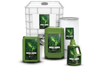 Image 2 of Emerald Harvest- Emerald Goddess