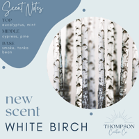 White Birch