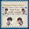 11 x 3.5” "Honk if You Love Wizards" Bumper Sticker