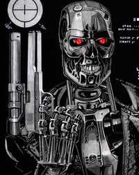 Image 3 of THE TERMINATOR