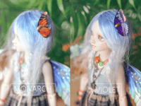 Image 3 of Butterfly Wings