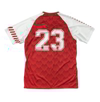 Image 2 of Haverford Dragons FC