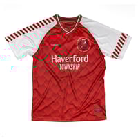 Image 1 of Haverford Dragons FC