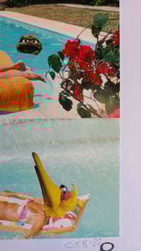 Image 4 of 'The Hissing Of Prairie Dawn's Lawn'
