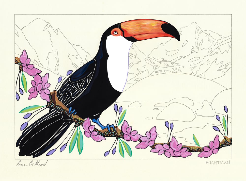 Image of Toucan and Ottoline