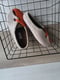 Image of AUTUMN felted wool slippers UK4