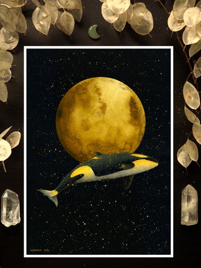 Image of Full Moon Magic Orca Art Print