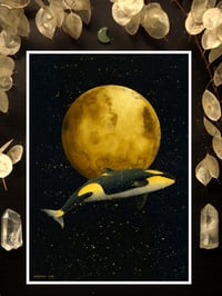 Image 1 of Full Moon Magic Orca Art Print
