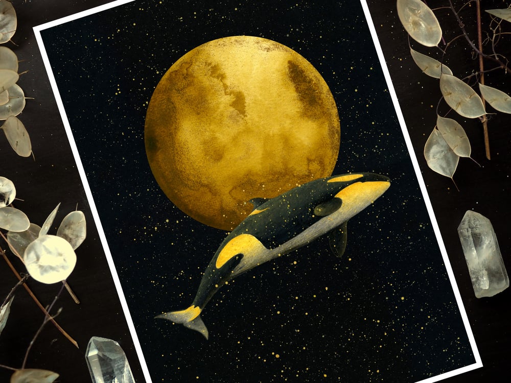 Image of Full Moon Magic Orca Art Print