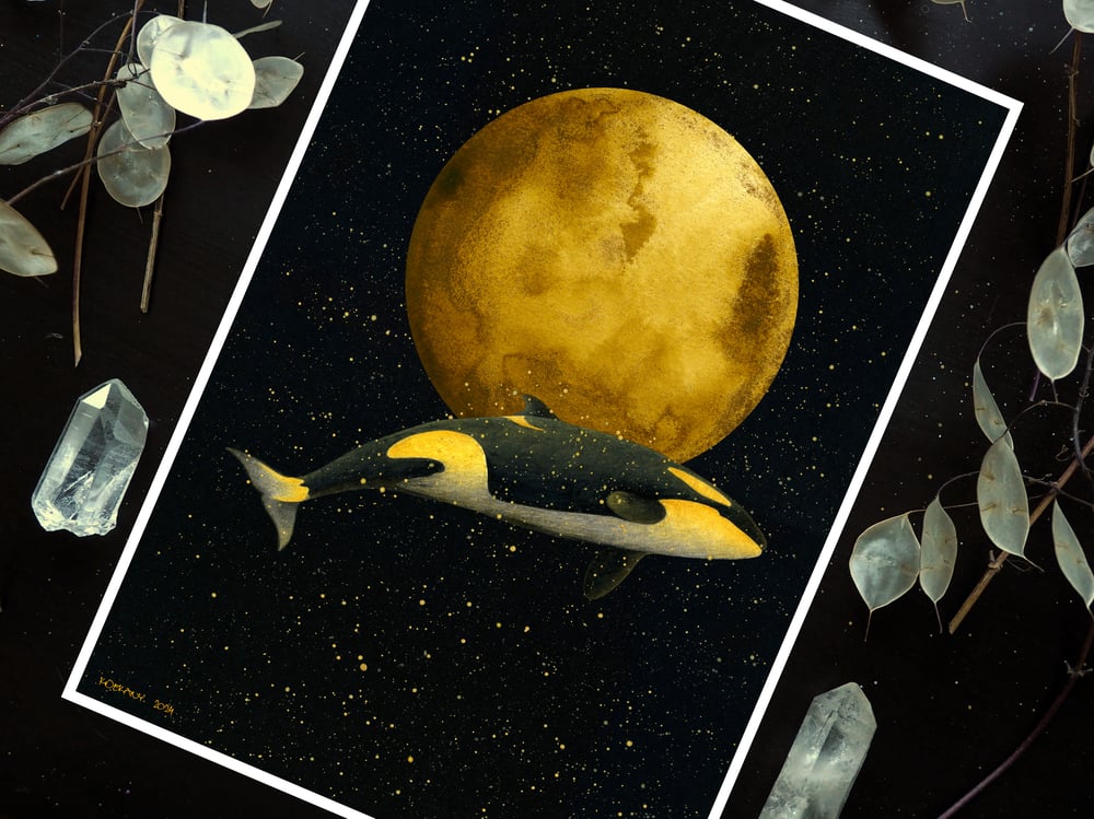 Image of Full Moon Magic Orca Art Print