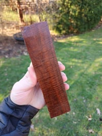 Image 2 of Western Myall 4