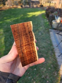 Image 1 of Western Myall 5