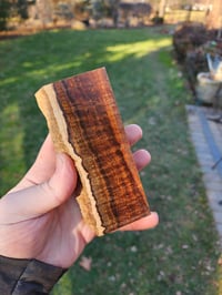 Image 2 of Western Myall 5