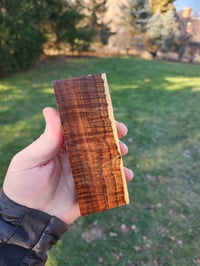 Image 1 of Western Myall 8
