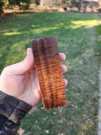 Image 2 of Western Myall 10