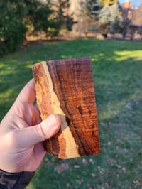 Image 2 of Western Myall 11