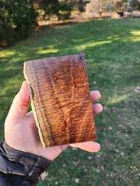 Image 1 of Western Myall 15