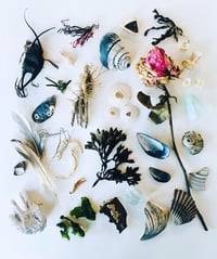 Coastal Flatlay Print lll