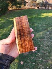 Image 1 of Western Myall 6