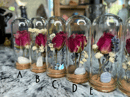 Image 2 of S-Terrariums of Dreams
