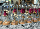 Image 4 of S-Terrariums of Dreams
