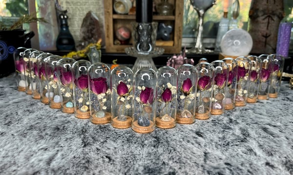 Image of S-Terrariums of Dreams