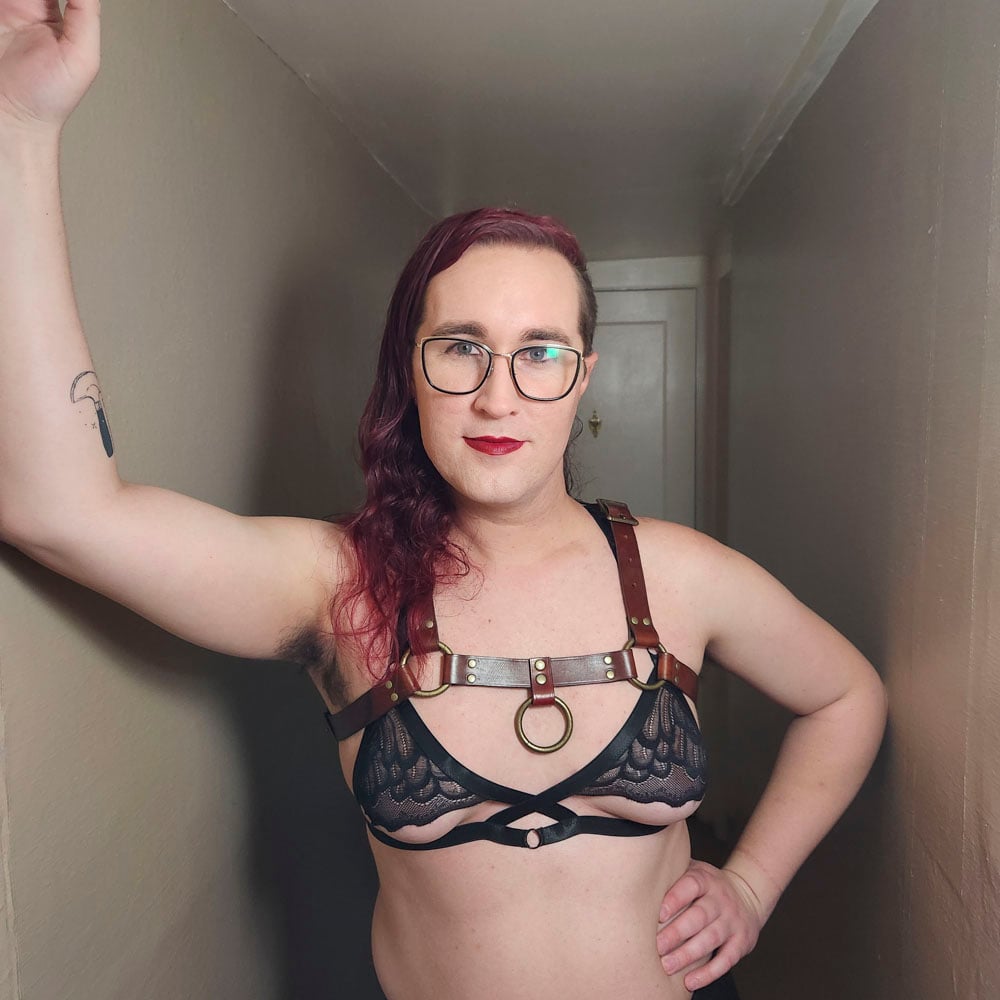 Leather Bulldog harness