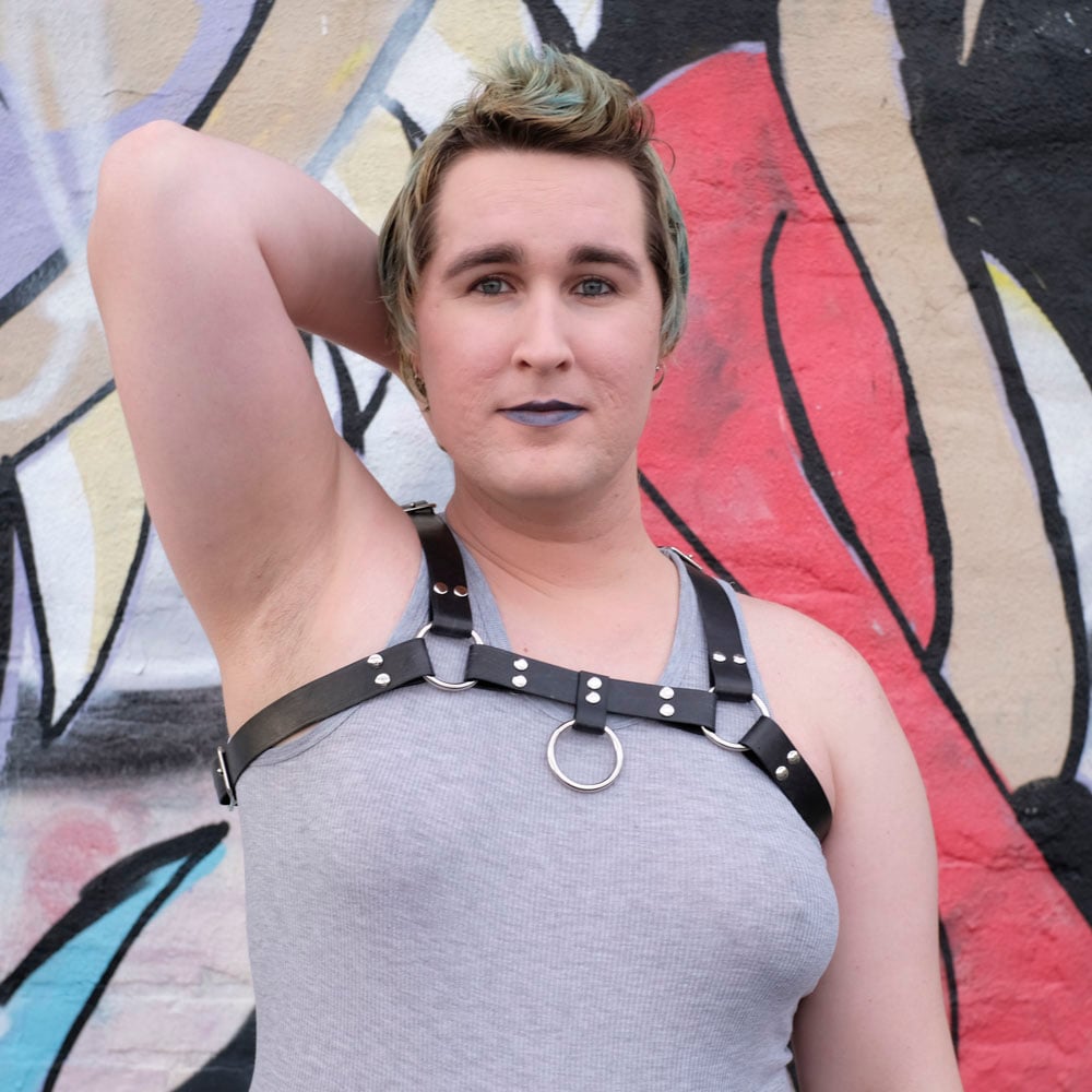 Leather Bulldog harness