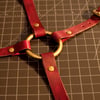 Castina hip harness