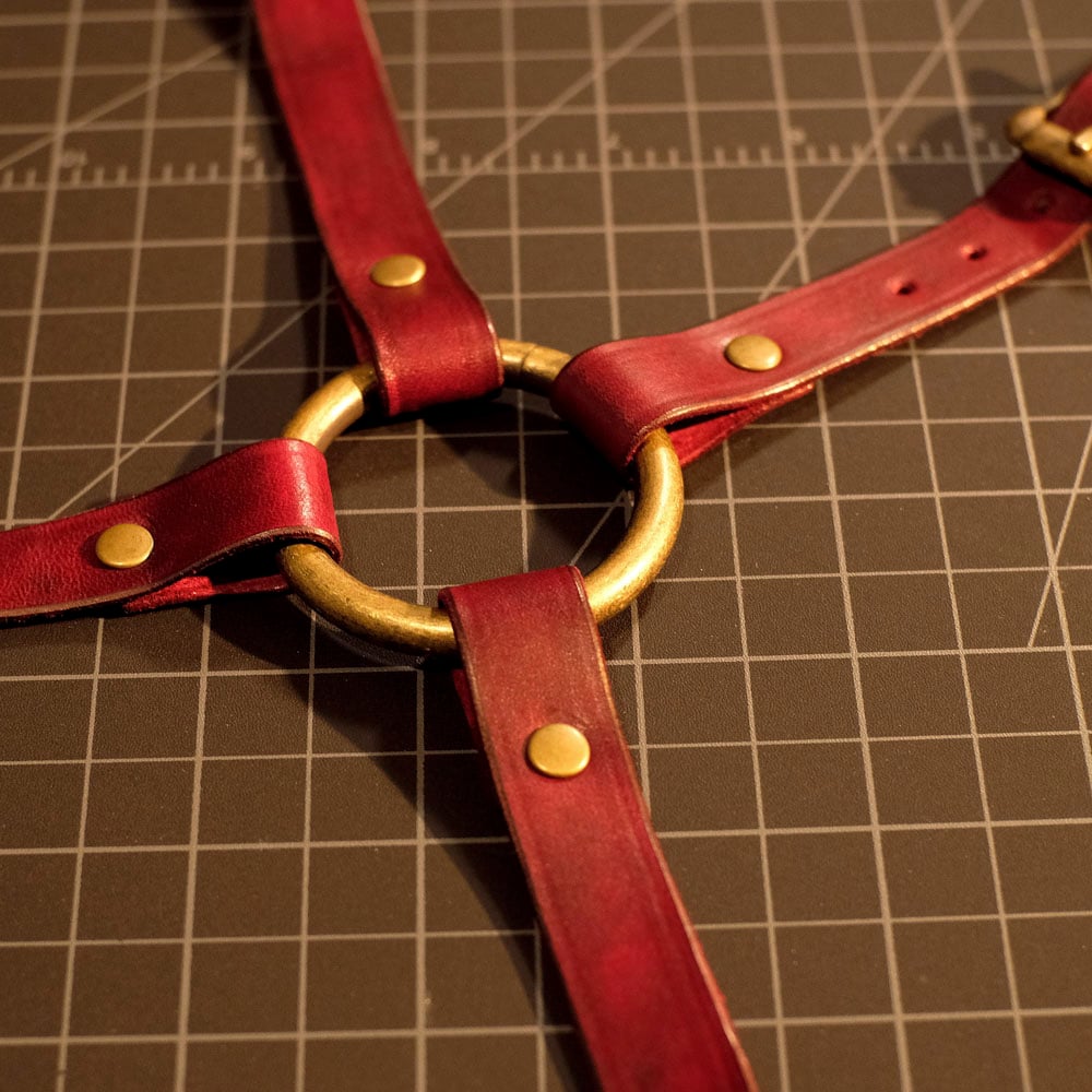 Castina hip harness
