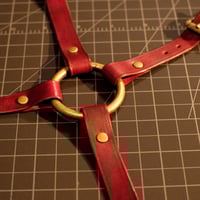 Image 5 of Castina hip harness