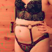 Image 3 of Castina hip harness