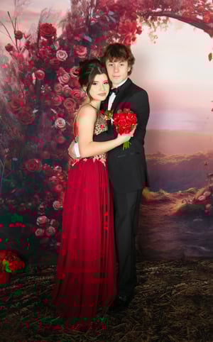 Image of Sunset Roses