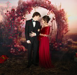 Image of Sunset Roses