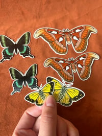 Image 2 of Butterflies Sticker Pack