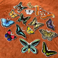 Image 1 of Butterflies Sticker Pack