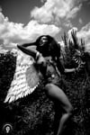 Angel in Black & White - Asmara