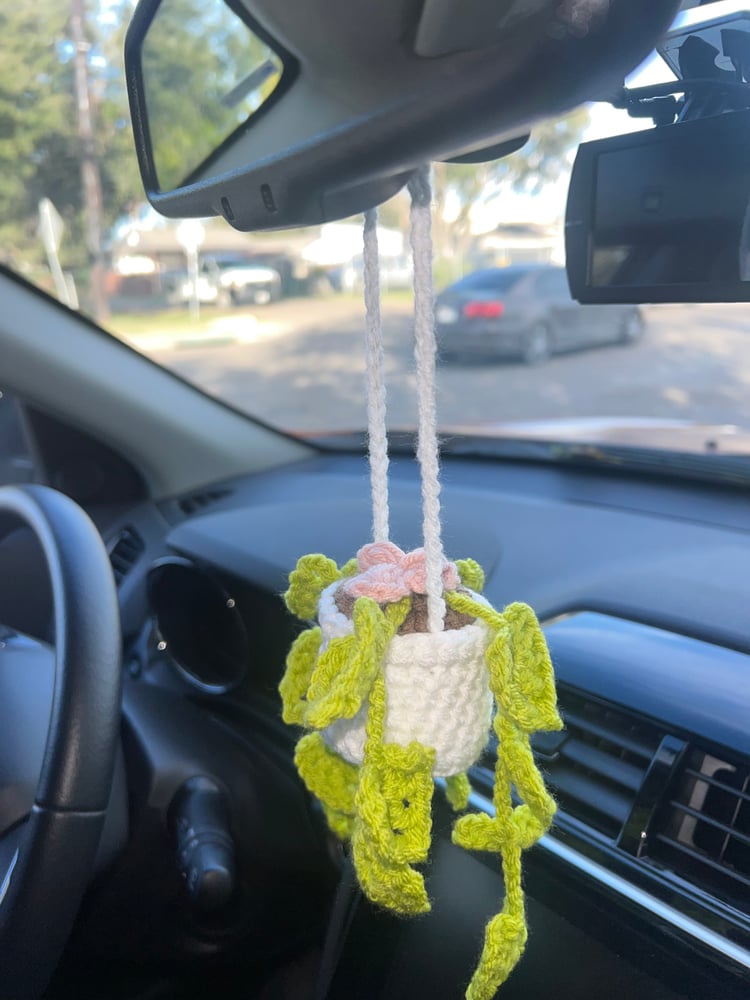 Image of Hanging plant