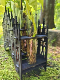 Image 2 of Gothic test tube stand