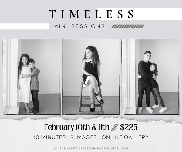 Image of Timeless Mini Session - Feb 2024