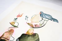 Image 2 of Acalanto I Print