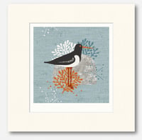Image 2 of HAND DRAWN OYSTER CATCHER SEASIDE SIGNED ART PRINT