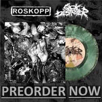 Image 2 of Roskopp/Sick Destroyer Split 7" AVAILABLE NOW!!