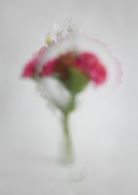 Image 2 of FLORA NORDVEST #1