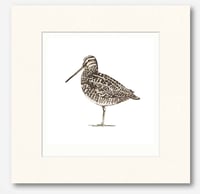 Image 2 of HAND DRAWN SNIPE SIGNED NATURE PRINT