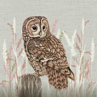 Image 3 of HAND DRAWN TAWNY OWL SIGNED ART PRINT