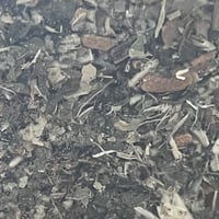 Image 2 of Breathe Free Tea