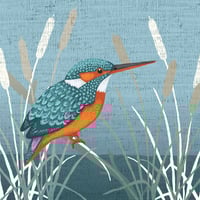 Image 6 of KINGFISHER  ART PRINT