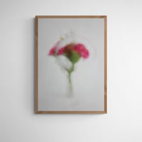 Image 1 of FLORA NORDVEST #1