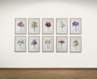 Image 3 of FLORA NORDVEST #1